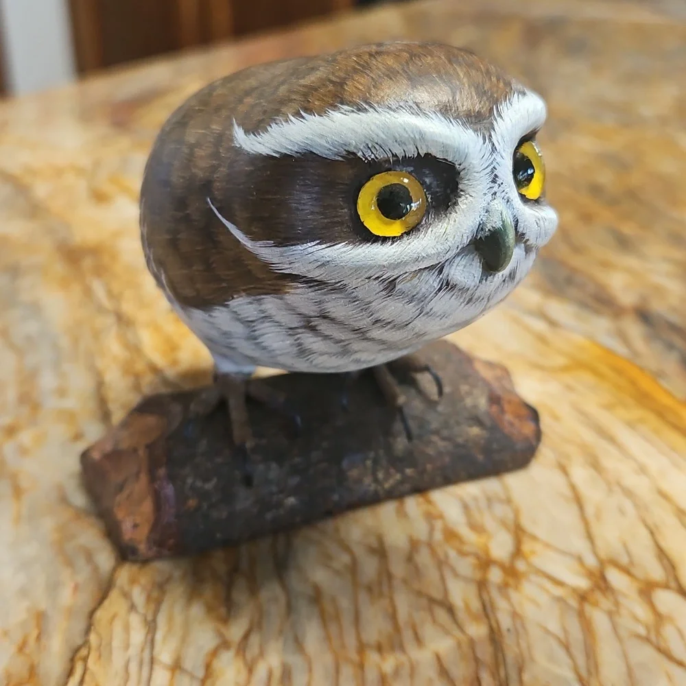 Saw Whet Owl on perch